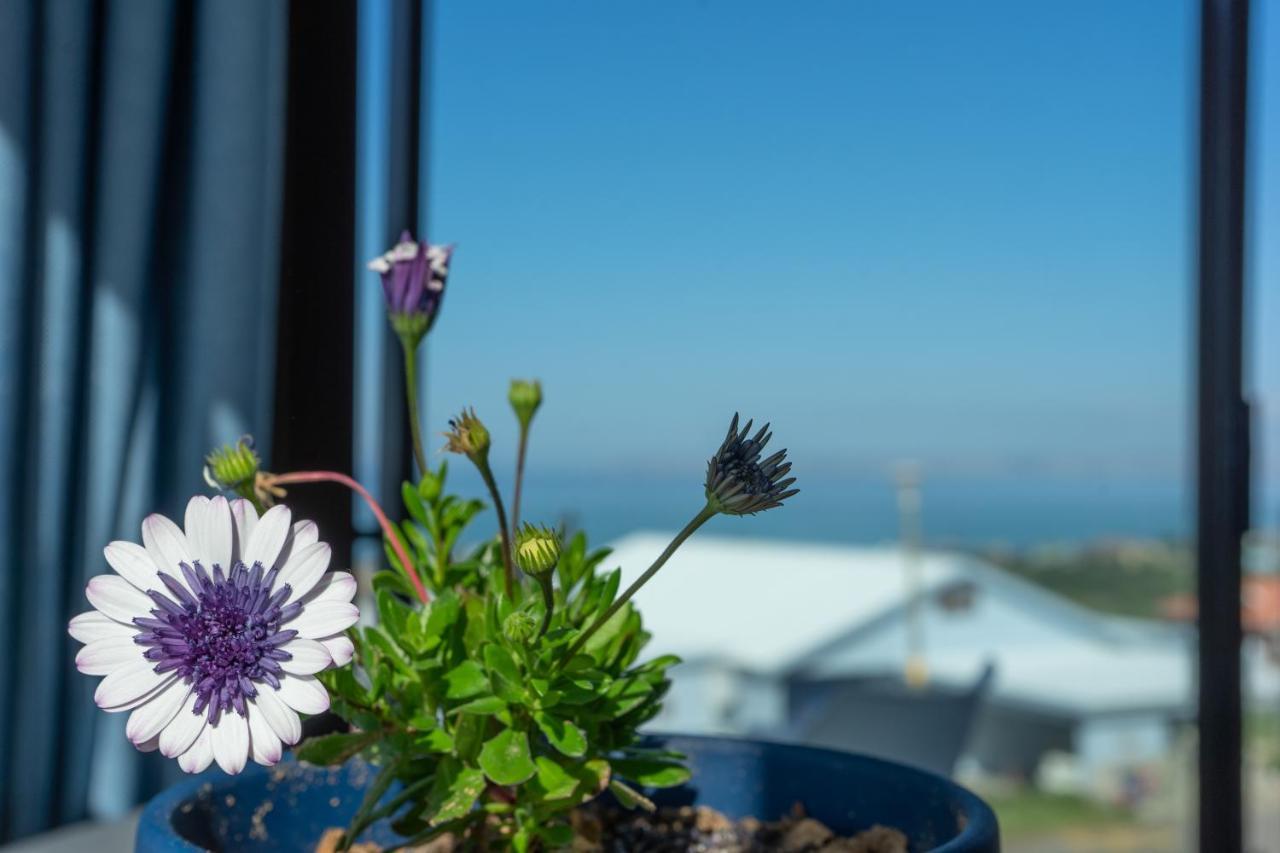 Blue Star Villa Tergniet Экстерьер фото